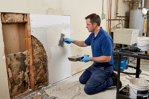Mold and Drywall Repair Ladera Ranch
