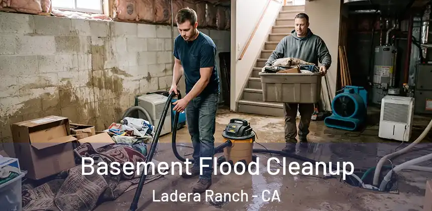  Basement Flood Cleanup Ladera Ranch - CA