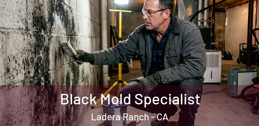 Black Mold Specialist Ladera Ranch - CA