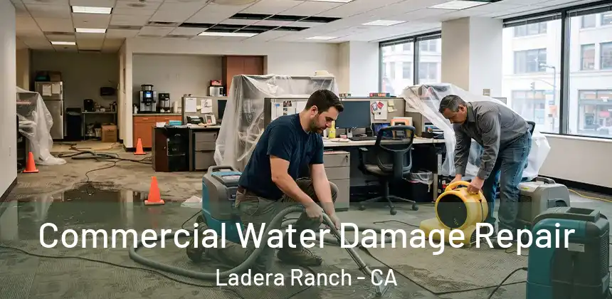  Commercial Water Damage Repair Ladera Ranch - CA