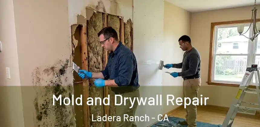  Mold and Drywall Repair Ladera Ranch - CA