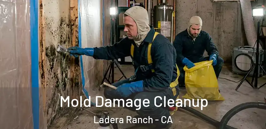  Mold Damage Cleanup Ladera Ranch - CA