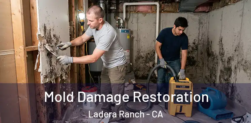  Mold Damage Restoration Ladera Ranch - CA