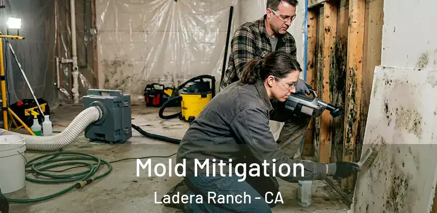  Mold Mitigation Ladera Ranch - CA