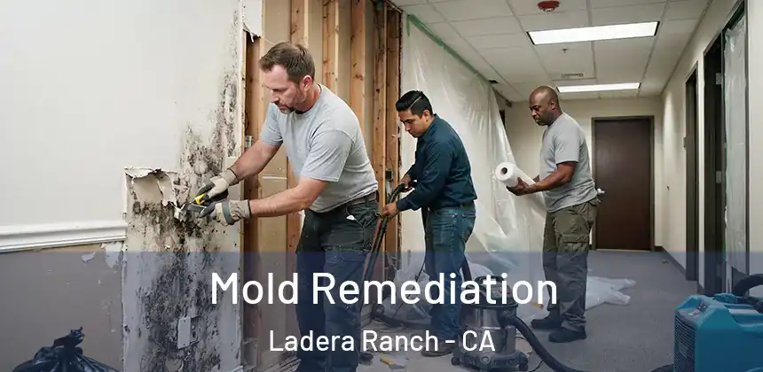  Mold Remediation Ladera Ranch - CA