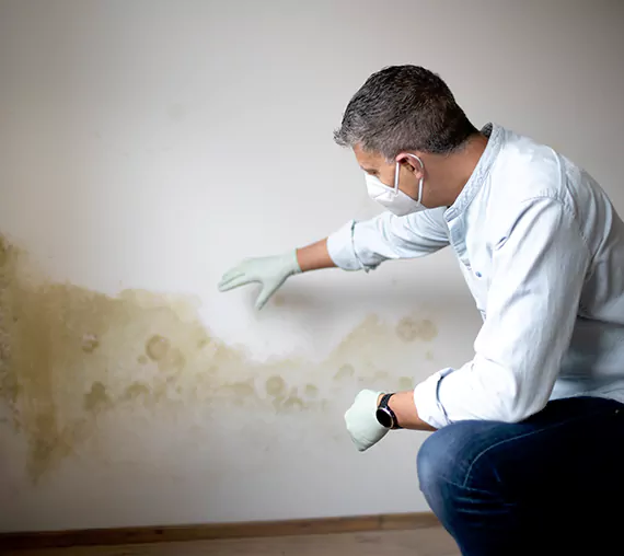 Mold Removal Service in Ladera Ranch, CA