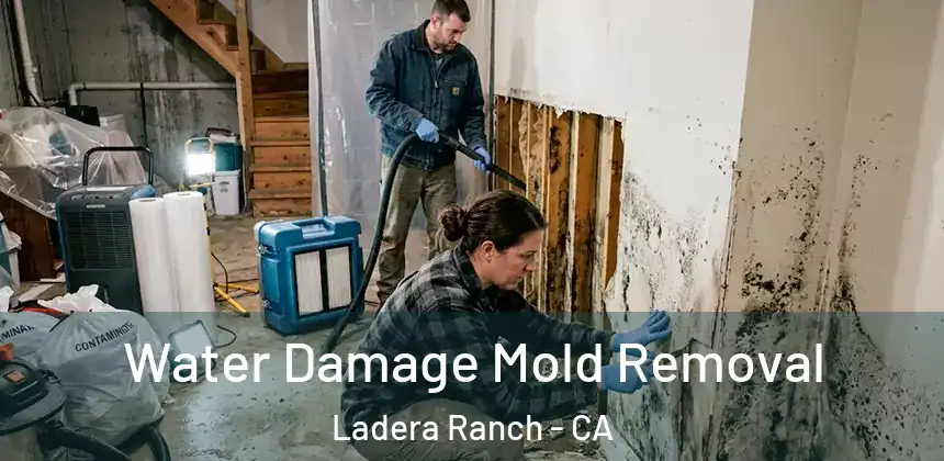  Water Damage Mold Removal Ladera Ranch - CA